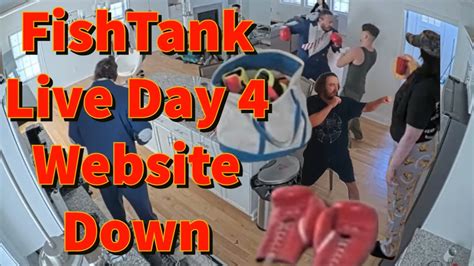 is fishtank.live down|Well done fishtank team the site is down when its meant to begin